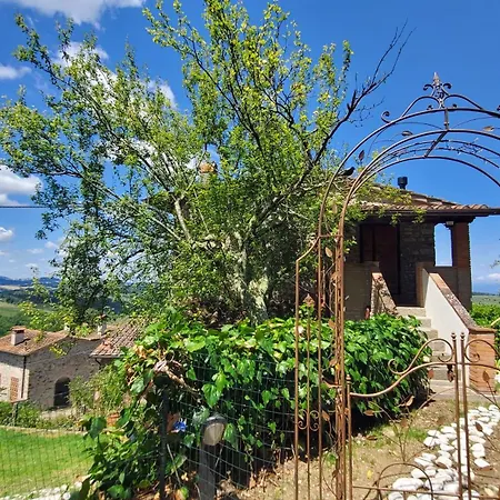 Bird House In Chianti