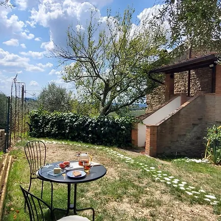 Bird House In Chianti